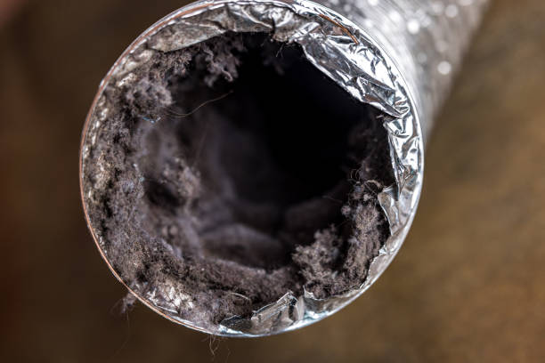 Best Air Duct Cleaning Near Me  in Durant, OK